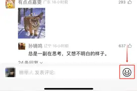 微信官宣新功能，评论区可以“斗图”了！图片