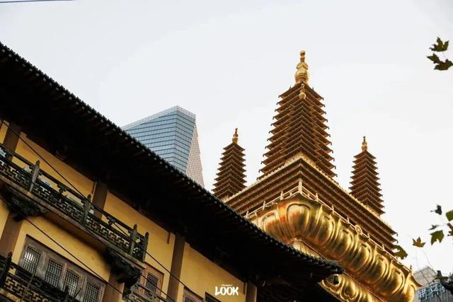 冬日打开指南！去愚园路静安段逛街→