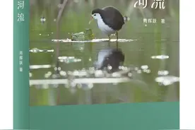 艺评丨贺有德：书写“人与自然”的新传奇——读肖辉跃生态文学作品《醒来的河流》图片