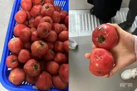 12元餐标的学生餐被指用腐烂食材，还“肉很少”？教育局回应！图片