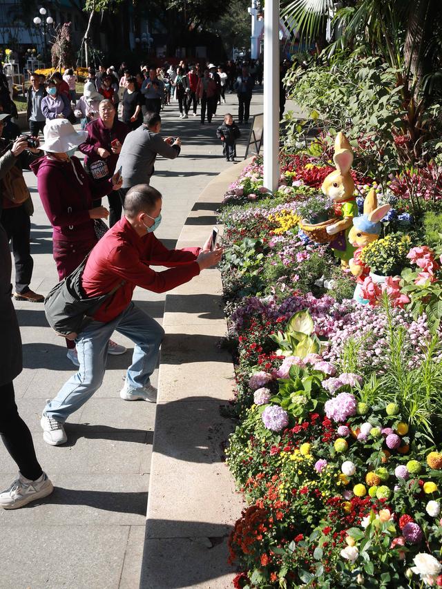 多图直击！第41届深圳东湖公园菊花花会开幕