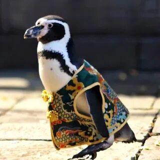 您的QQ已在朝天宫登录！