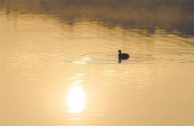 曲靖：光影流转 冬韵如诗