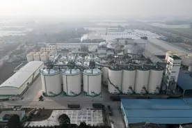 四川商投集团10万吨粮油仓储设施项目建成 预计春节后正式投入使用图片