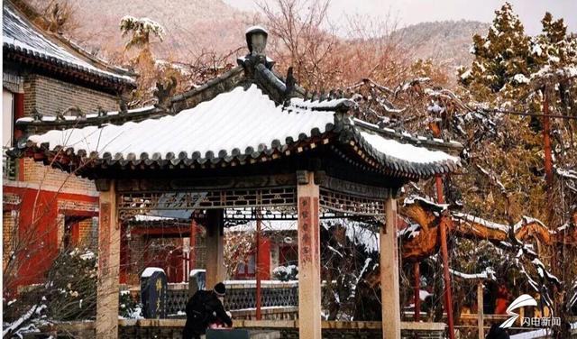 组图丨雪落泰山普照寺 古院美成冬日壁纸