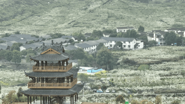 定了！彭州“村糖会”系列活动重磅来袭！跨年、新春、探春……承包你一年的甜蜜