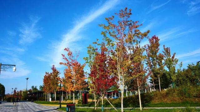 西安秋日citywalk天花板,来啦!