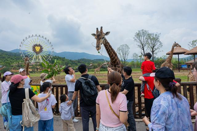 奔赴全国2000城！国庆首日出游热度飙升