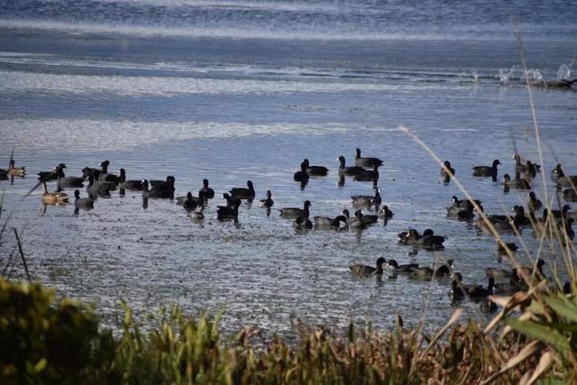 来保山，让冬日住进22℃的温柔里！