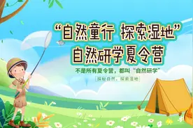 崇明这个夏令营带你走进世界自然遗产……图片