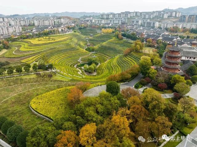 最高奖金50000元!所有人可参与