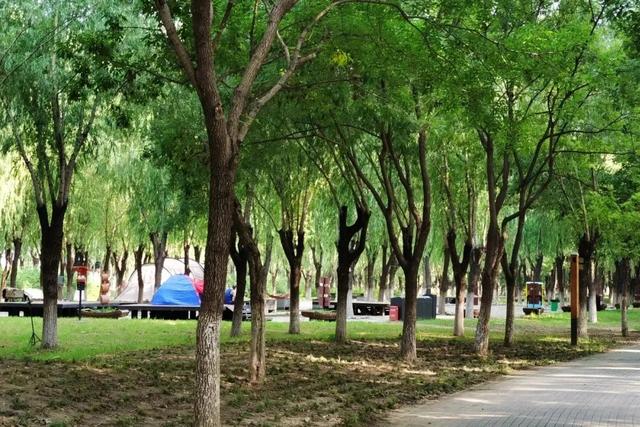 副中心30个公园变身“清凉秘境”！游船、浅滩、亲水乐园全都有