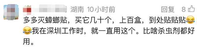 知名女演员豪宅遭殃！被吓到坐立难安！"简直尸横遍野，惨不忍睹"...