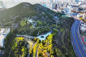 济南CBD“城市绿洲” 多彩初冬宛如画图片