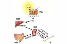 晒太阳能补钙吗？这样晒才行，否则只会让你晒黑！图片