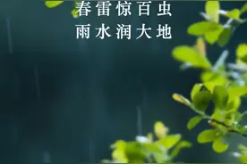 节气里的大美中国丨惊蛰——春雷响，万物生图片