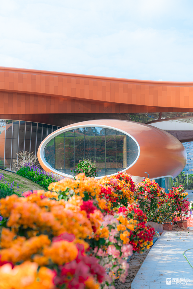 先睹为快！深圳巨型新地标启用，就在明天！