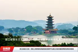 浙江省省长王浩：抓紧上线跨境电商省级综合服务平台建立功能完善的跨境电商实体园区视频封面