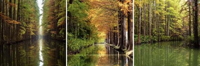 立冬第一游去哪里？淮安5处目的地，这个时节美翻了！