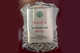 连续15年蝉联“中国果业第一品牌”！烟台苹果，果然出色！图片