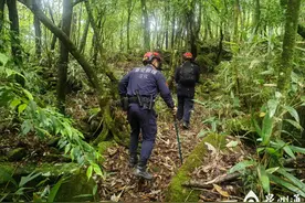 莆田男孩爬山失踪 泉州救援队参与搜寻图片