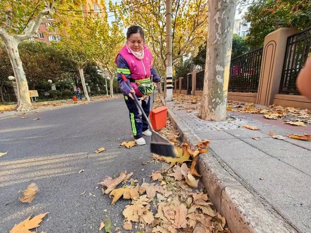 别错过，用Citywalk感受落叶的浪漫→