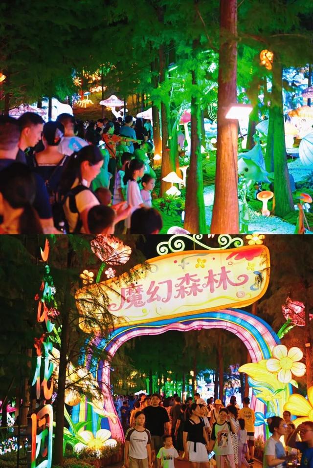 邕抱东盟，活力南宁！2025年东博会期间超全文旅体商活动攻略来啦→