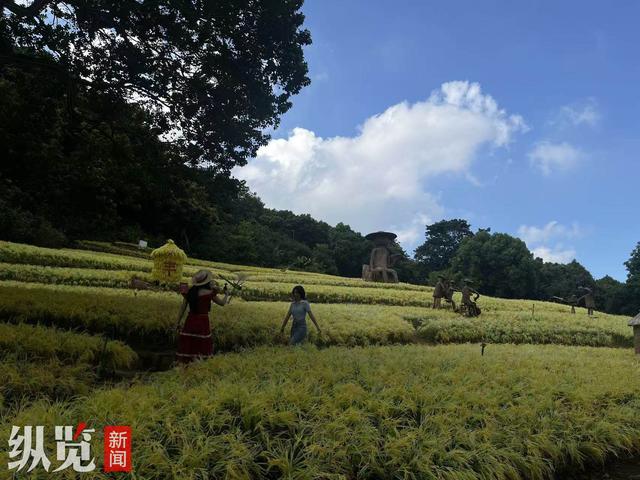 “云说壮美——相约东博会”网络主题宣传和采风活动 | “城市绿肺”见证南宁生态宜居之路