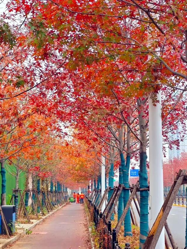 人少景美！洪山5处打卡地，周末约起