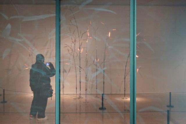 “此中：竹与园的互观”展览在北京扩容续展