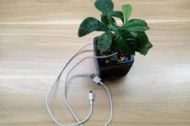 手机才换半年，电池却不耐用？图片