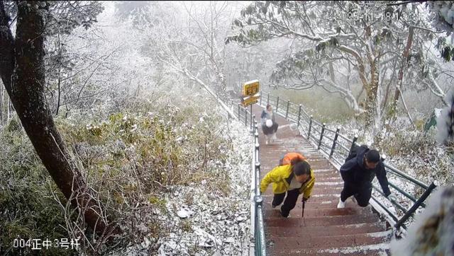 瓦屋山百万游客倒计时！“天选锦鲤”即将诞生，解锁独一份的重磅惊喜！这份天降好运会是你的吗？！