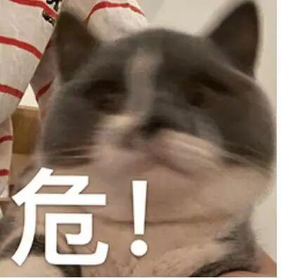 跟着短视频去爬山？已老实