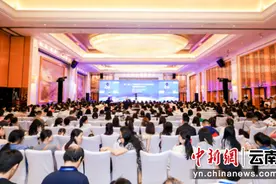 专家学者赴昆探讨人工智能赋能英语教学图片