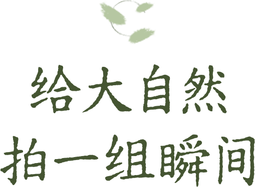 开在公园里的玻璃书房 · 深圳新安静空间
