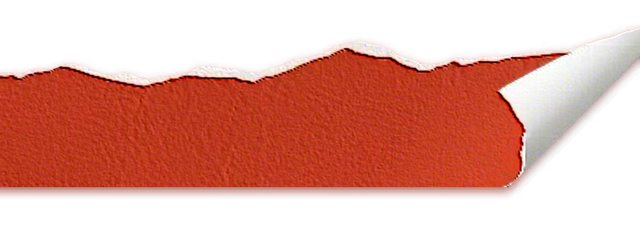 元旦登高祈福！大明山抽大奖，特价门票限时抢，新年好运“登”上来！