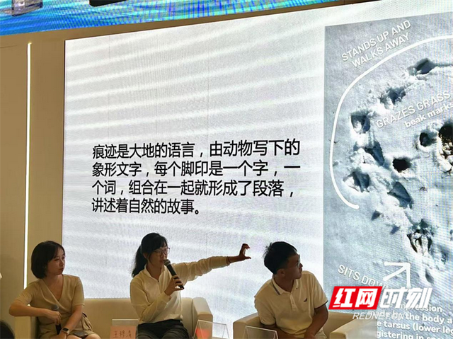 上海书展夜场湖南展台火爆 鸟类科普分享会解锁城市观鸟奥秘
