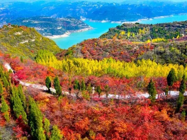 免门票！请收下洛阳对全国教师的这份专属宠爱～