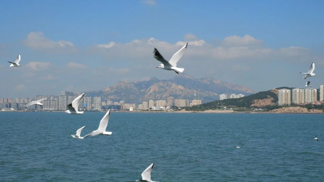 从白翼精灵到航海史诗！青岛秋冬限定浪漫一起来get吧~
