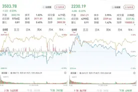 A股三大股指低收：仿制药、AI应用题材走强图片