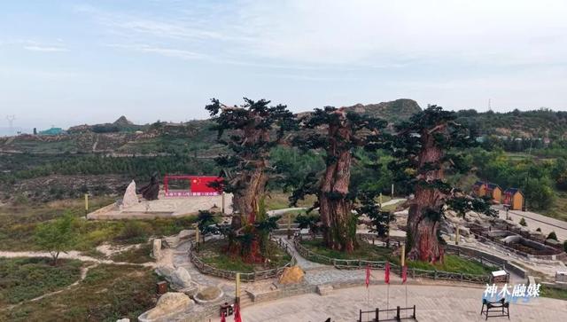 神木跻身2025年“奔县游”热门县城TOP10