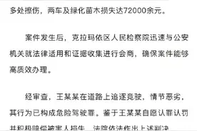 男子多次别车泄愤引发事故被判刑图片