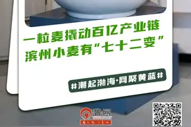 一粒麦撬动百亿产业链，滨州小麦有“七十二变”|潮起渤海・网聚黄蓝图片