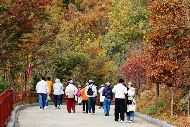 威海这个4A级旅游景区免费！登山看海+千年祈福，初冬盛景不辜负
