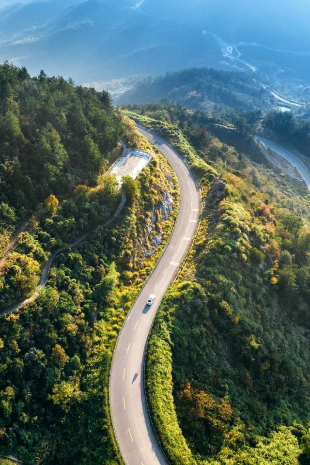 别去日本了！新洲的“同款”风景，美得更懂你
