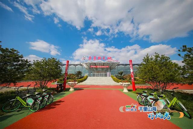 好客山东美食争霸赛 | 图览山海“饺”好运！