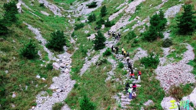 突然火爆出圈！一大批人直奔青岛这里，现场排起长龙……重要提醒→
