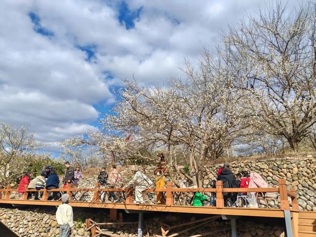 福州元旦爆火出圈，文旅消费热力全开！