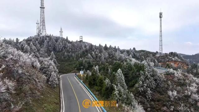 江西一夜入冬，可是雾凇怎么会这么好看！