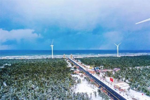 冬天！所有人都该来荣成见一见“永不失约”的布鲁威斯